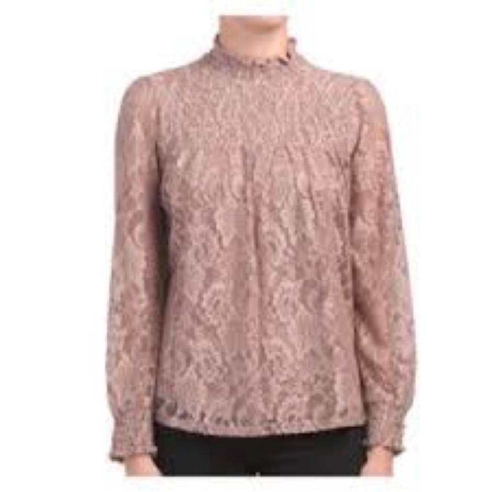 Cable & Gauge Mauve Lace Sheer Long Sleeve Blouse Size Small NWT
